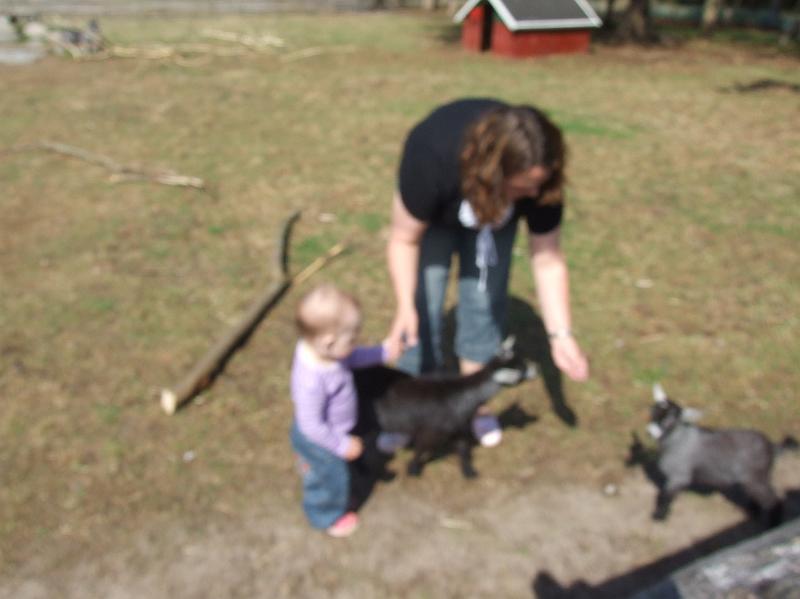 Sofia i  FarmFun 009.jpg